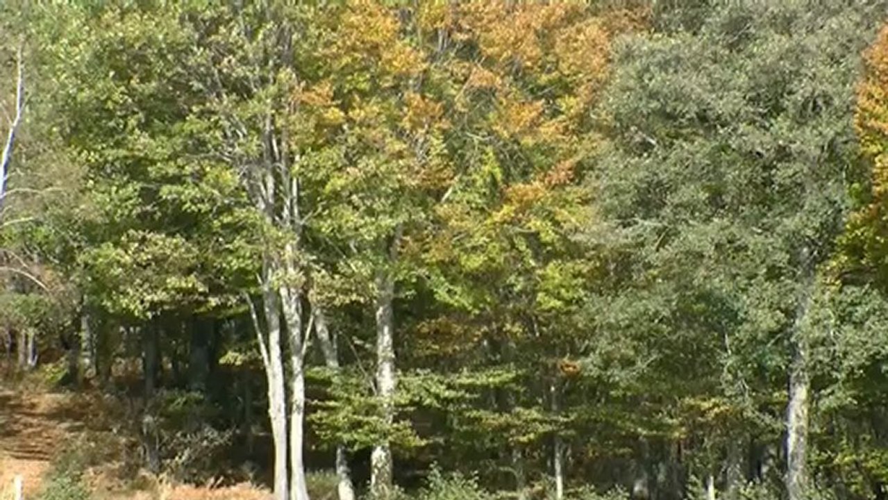 Roussillou, le lac au bois dormant