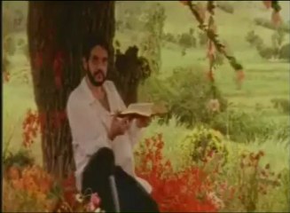 Reportagem do Jornal da Globo