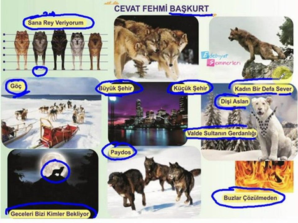 Cevat Fehmi Başkut (Hafıza Teknikleriyle)