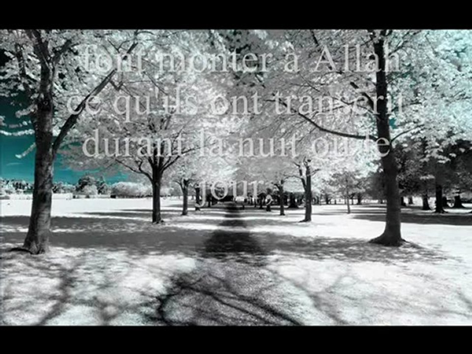 Veut tu que Allah te Pardonne tes péchés   -islam