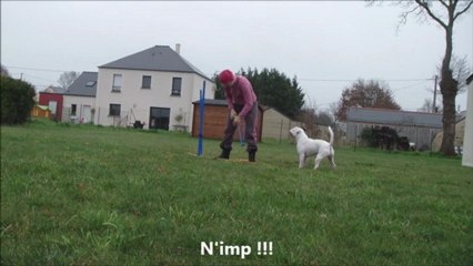 Eclipse lève les pattes 2013-01-05