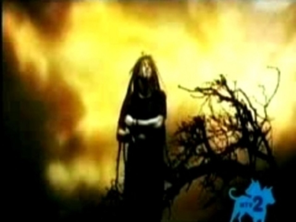 Shadows fall - in effigy