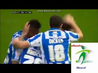 أهداف برايتون (العبد)2_0 نيوكاسل 5_1_2013