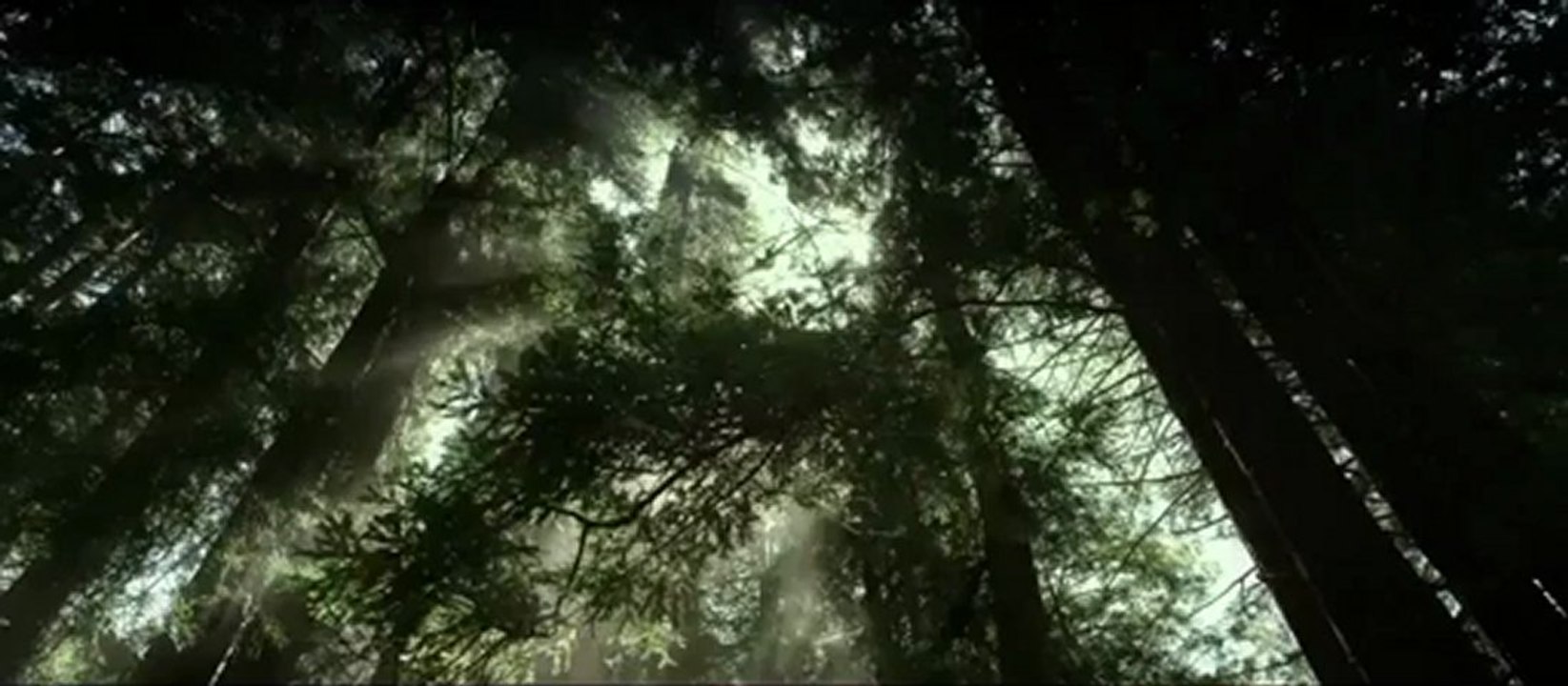 Big Sur Trailer - Sundance