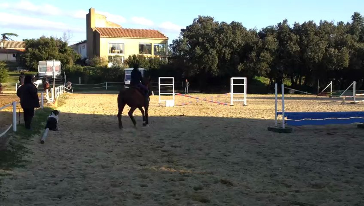 Concours Eve et Juju 2