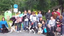 Segunda concentracion de perros en el parque de Artaza contra las multas