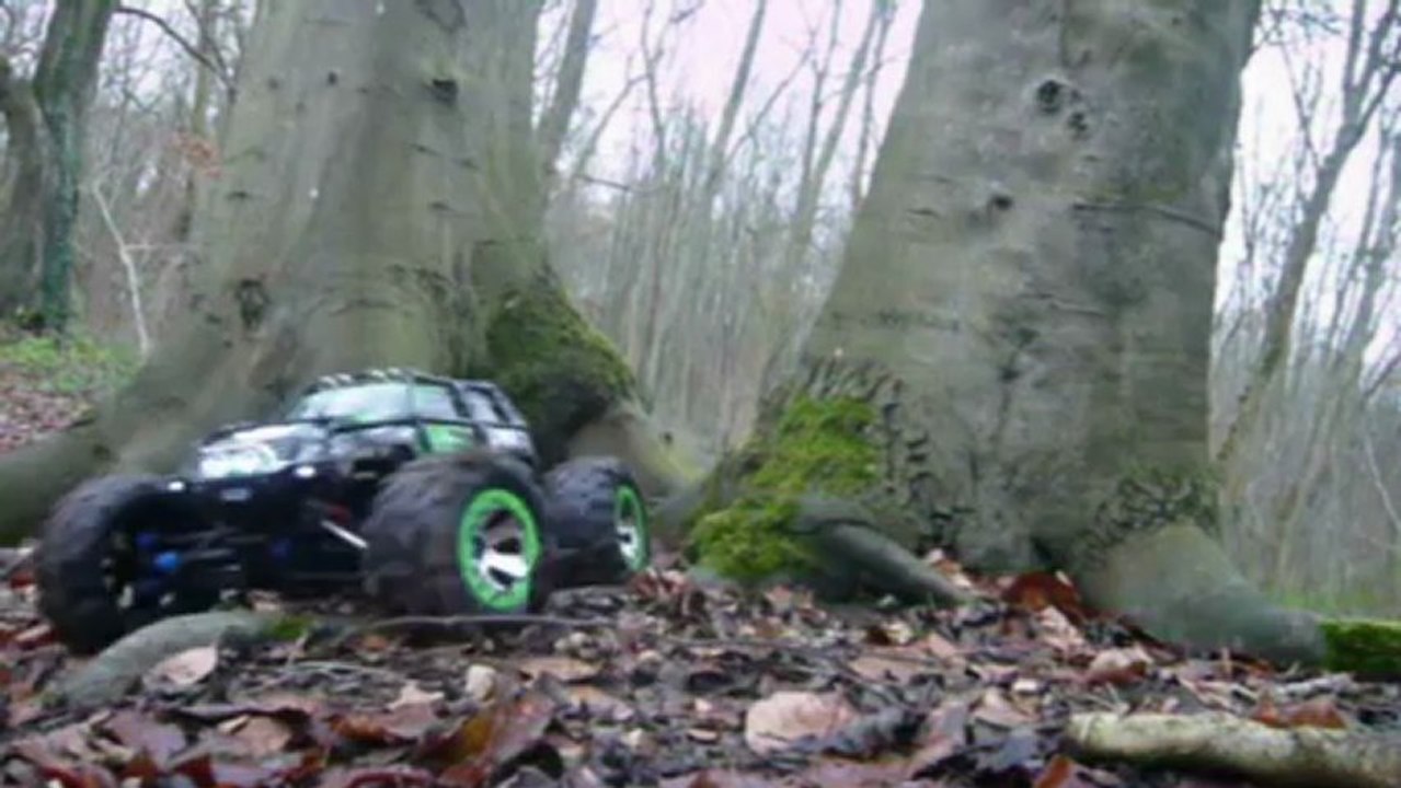 Sortie 05-01-2013