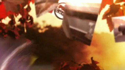 Wasp Nest | Houston Texas | 832-464-4119