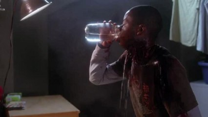 Masters Of Horror II -The V Word