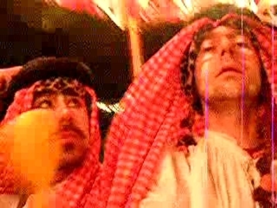 les kwi kwi font du manège