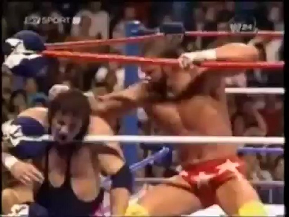 Randy Savage vs Bret Hart