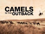 Al Jazeera World - Camels in the Outback