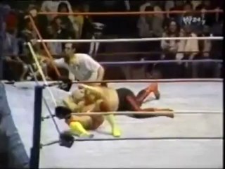 Randy Savage vs George the animal steele