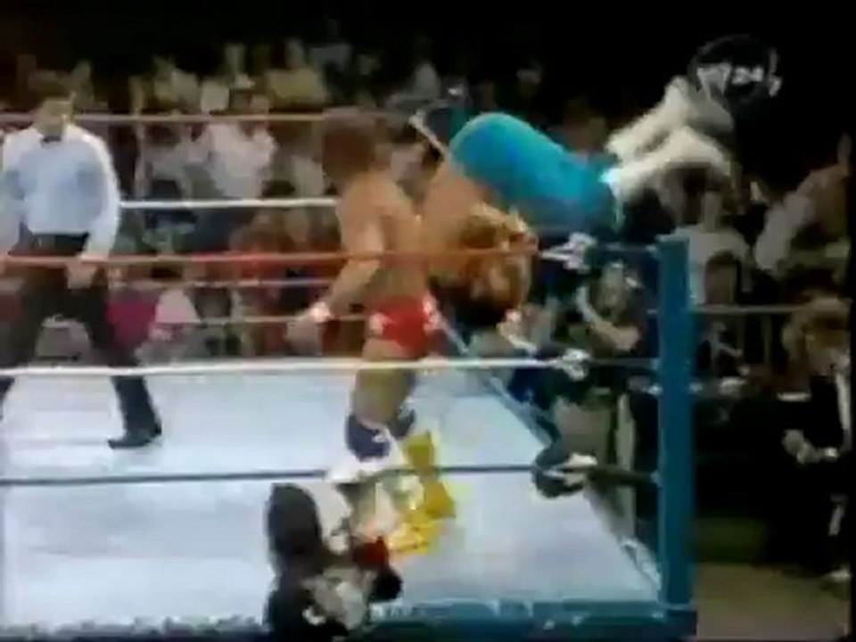 Randy Savage Vs HTM