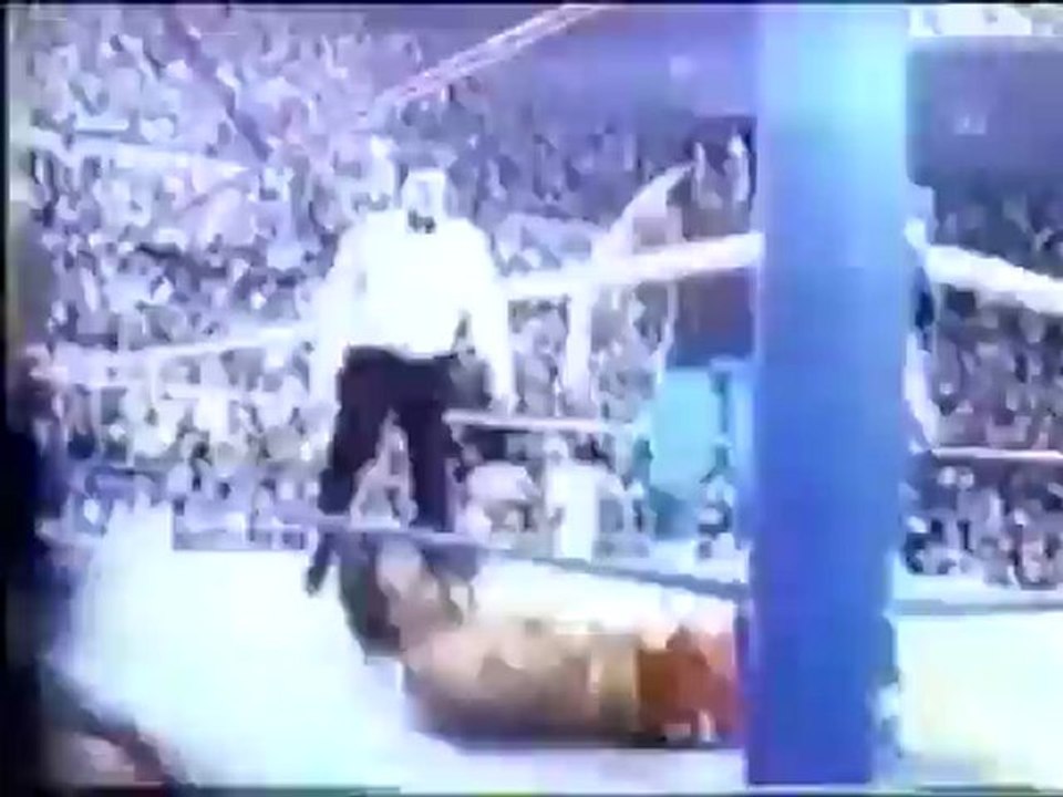 Randy Savage vs HTM
