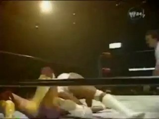 Randy Savage vs Hulk hogan