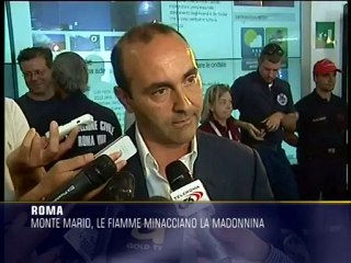 Incendi a Roma, "c'è un'unica strategia"