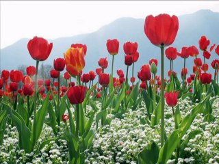 Ahmet Tetik Özlemeye Başladım Ben