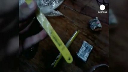 Presos brasileños utilizan un gato para intentar...