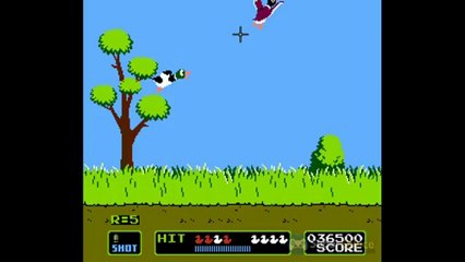 Duck Hunt - tir au canard