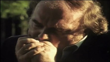 John Lee Hooker - Baby Please Don't Go ft Van Morrison (Come And See About Me)