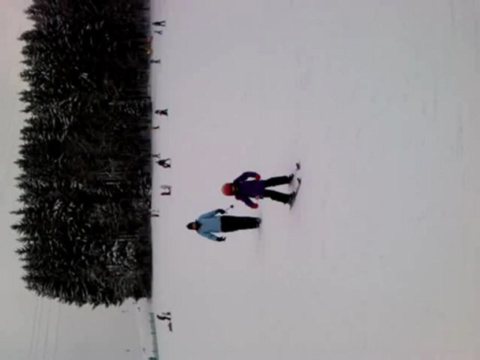 V ski