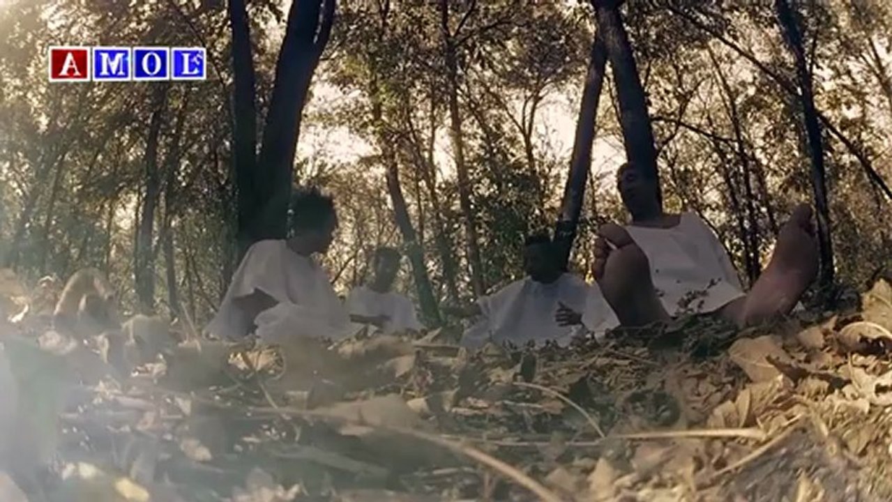 Tigrat - Të pafajshmit