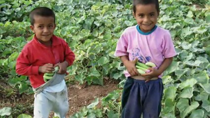 LATİFE ERASLAN-GÜZEL DOST