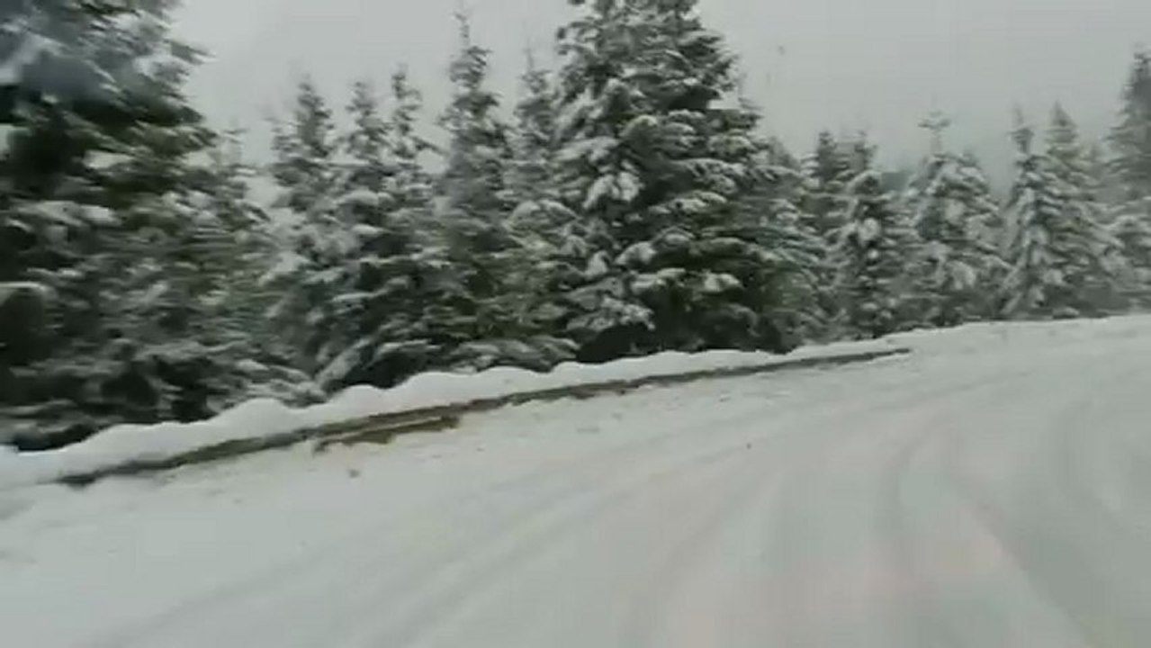 VOSGES - GUY PEINTURIER