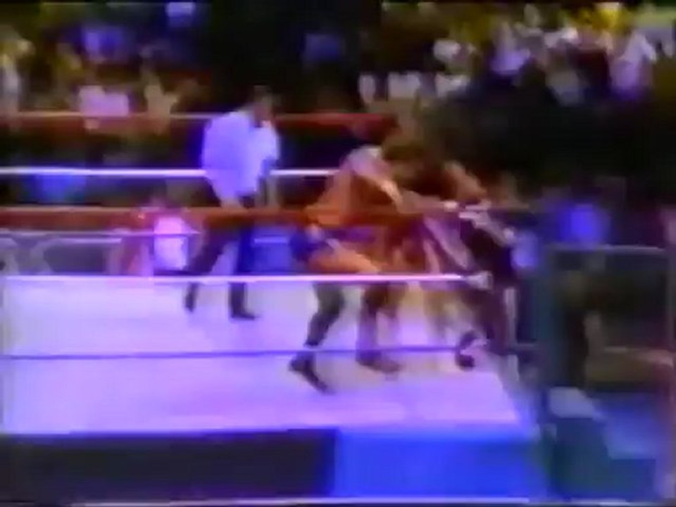 Randy savage vs Ted dibease