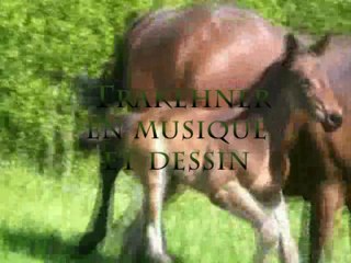 trakehner en musique et dessin par equi jane peinture