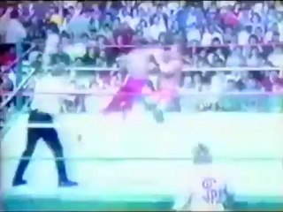 Randy Savage vs Virgil