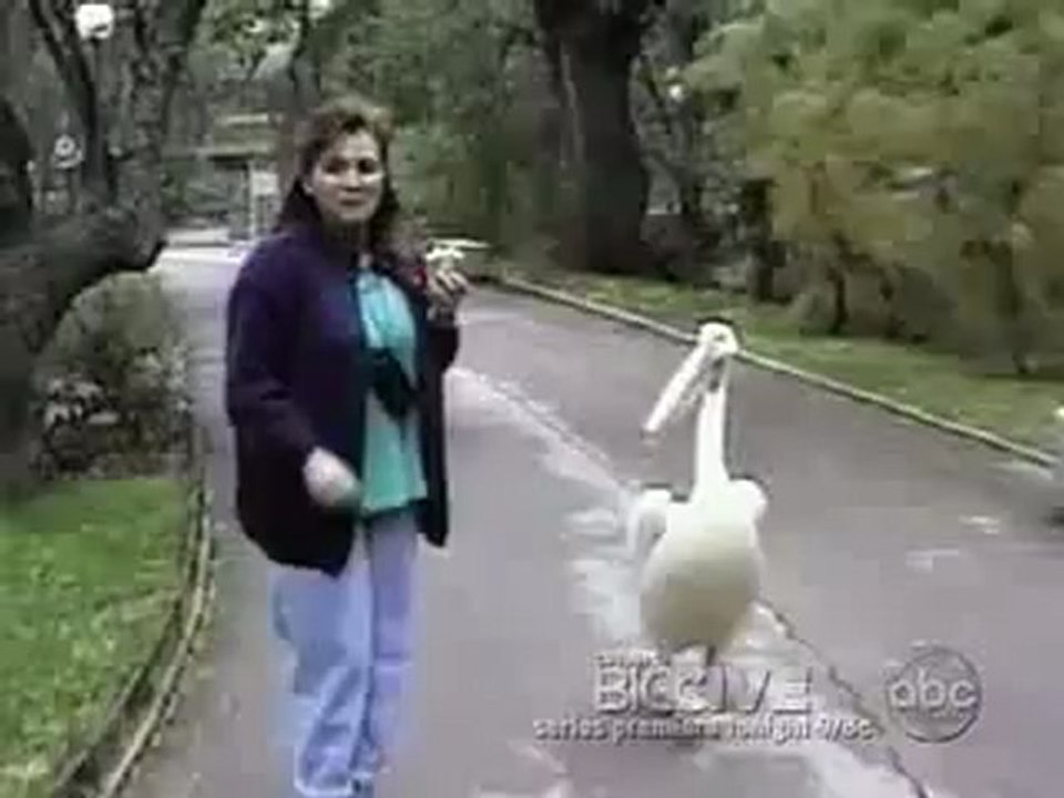 Gatunagem!!!