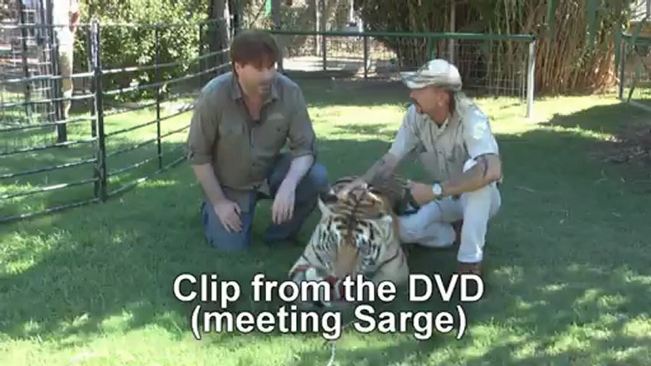 90 sec DVD ad