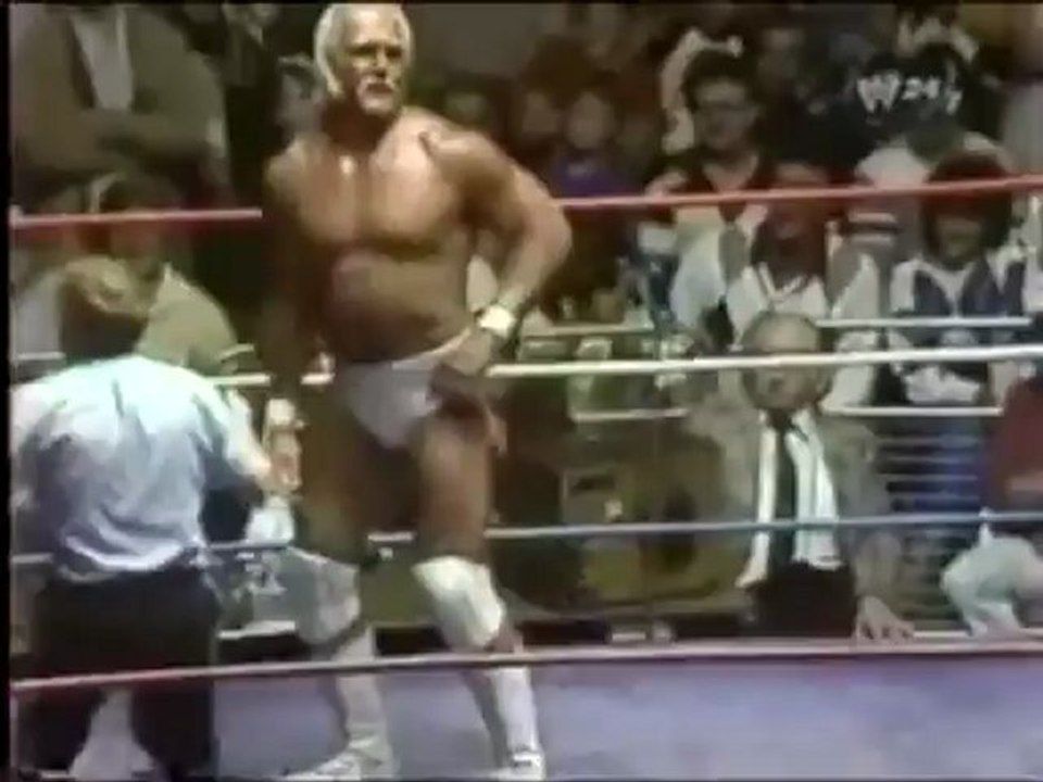 Randy vs Hulk hogan