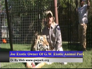 GW Exotic Promotion Video
