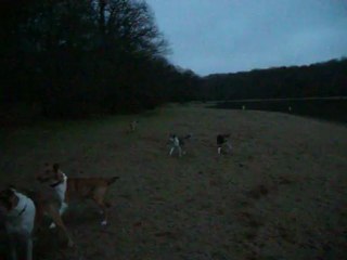 Etang de Pirot 06-01-13