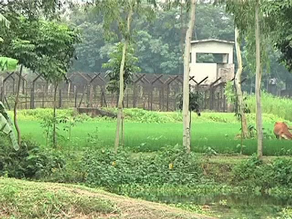 বিশেষ প্রতিবেদন _ সরকারের উদাসীনতায় বাড়ছে  - Video Dailymotion