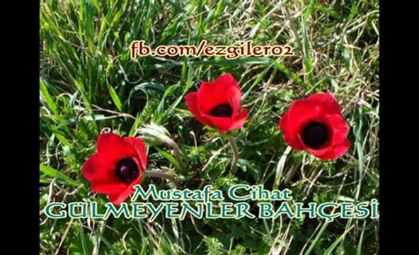 Mustafa Cihat - GÜLMEYENLER BAHÇESİ [ezgi-dinle.com]