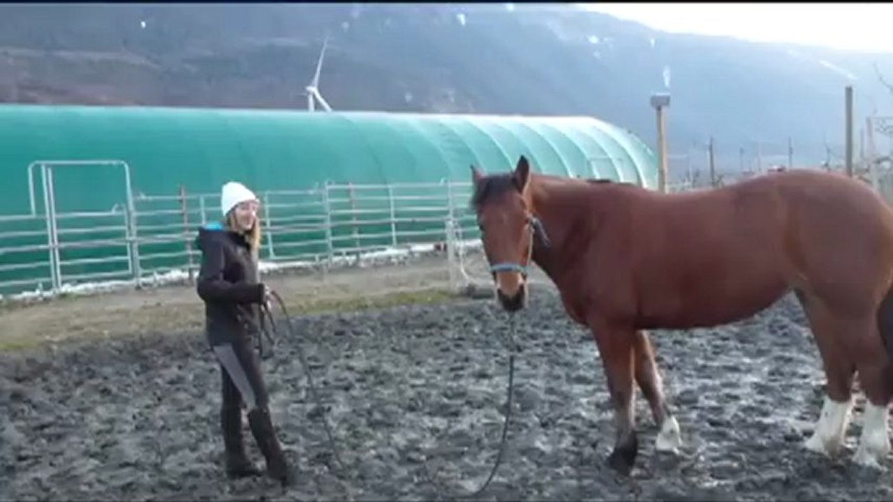 04.01.13 travail au sol