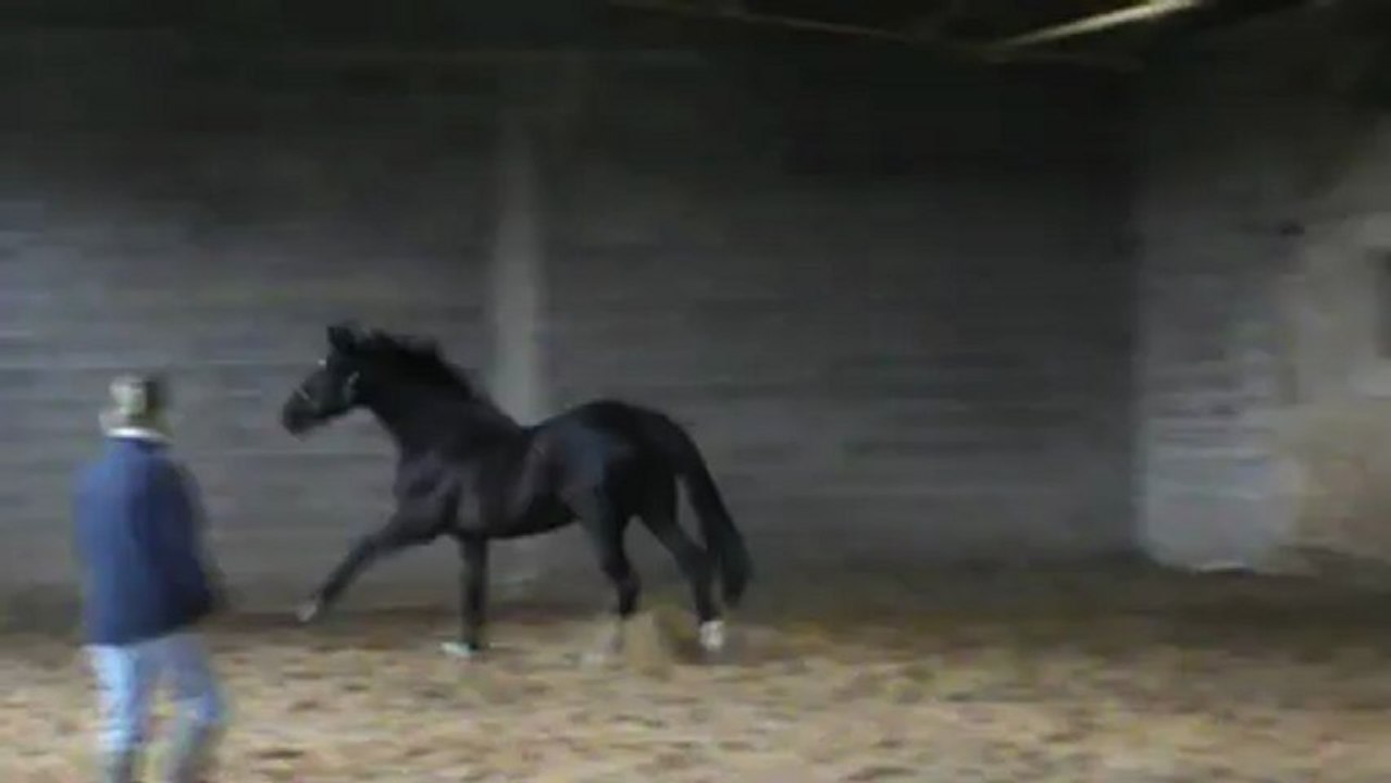 20130106 Master Niherne