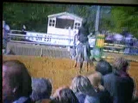 championnats du finistère D1 ponam