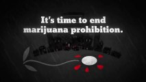 The Flower / it's Time to End Marijuana Prohibition