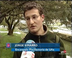 Captura de truchas en piscifactoría