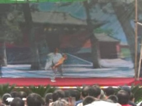 Shaolin kung-fu style du scorpion