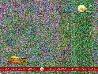 من جديد: الإعلان عن حزب الوطن وتدشينه رسمياً