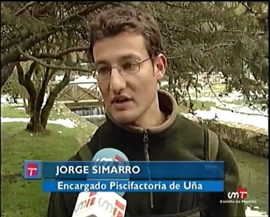 Suelta de trucha común