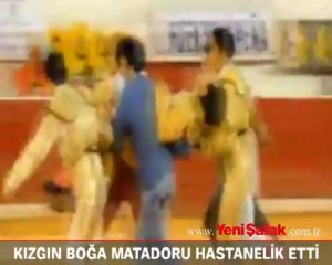 Kızgın boğa matadoru hastanelik etti