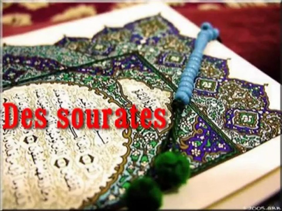 Les cours d'arabe de l'Oasis de l'Excellence