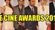 Zee Cine Awards 2013 | Bollywood In Full Attendance